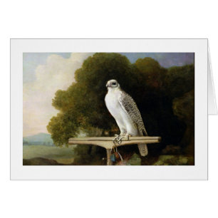 Greenland Falcon (Grey Falcon), 1780 (oil on panel