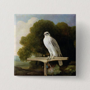 Greenland Falcon (Grey Falcon), 1780 (oil on panel 15 Cm Square Badge