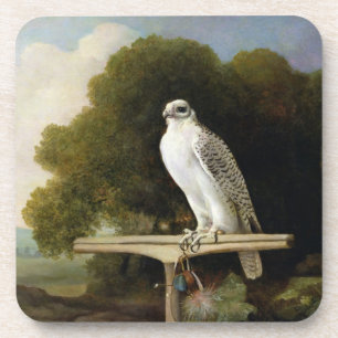 Greenland Falcon (Grey Falcon), 1780 (oil on panel Coaster