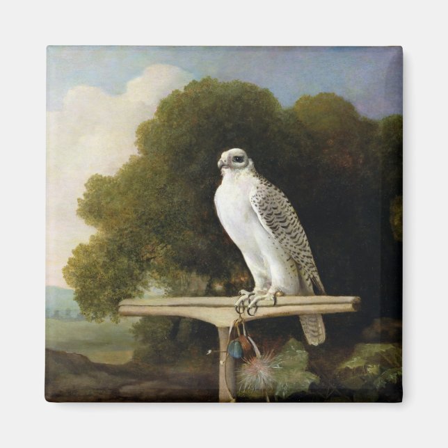 Greenland Falcon (Grey Falcon), 1780 (oil on panel Magnet (Front)