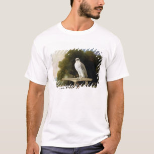 Greenland Falcon (Grey Falcon), 1780 (oil on panel T-Shirt