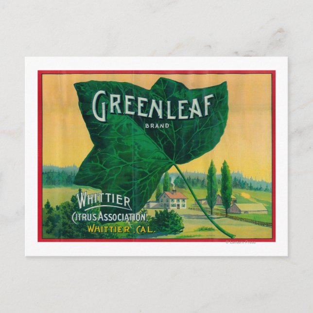 Greenleaf Lemon LabelWhittier, CA Postcard (Front)