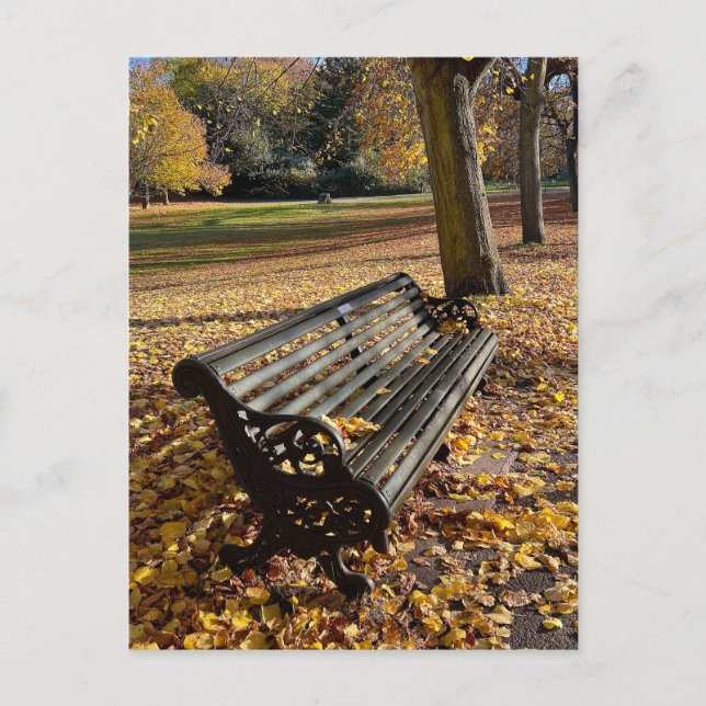 Greenwich park, London UK Postcard (Front)