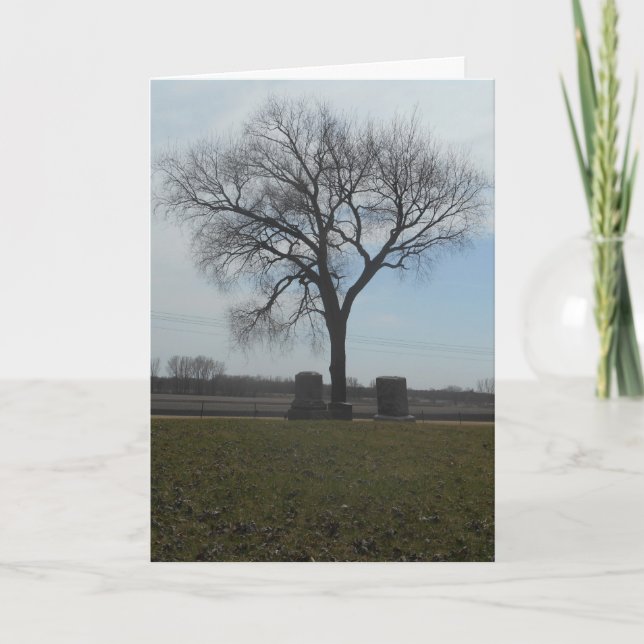 “Greenwood Cemetery Tree" Hallowe’en Card (Front)