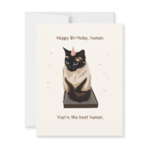Greeting Birthday Card with Siamese Cat