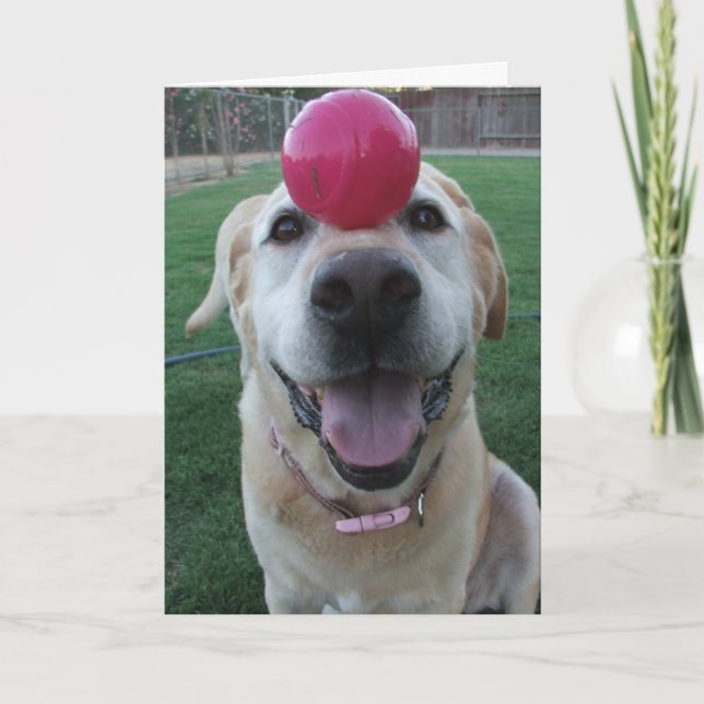 Greeting card (Front)