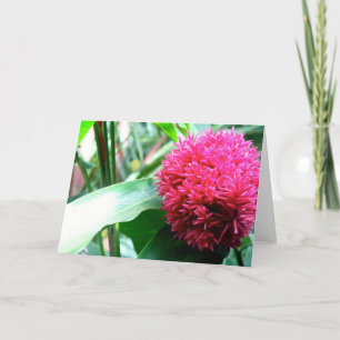 Greeting Card