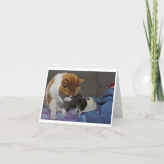 greeting card