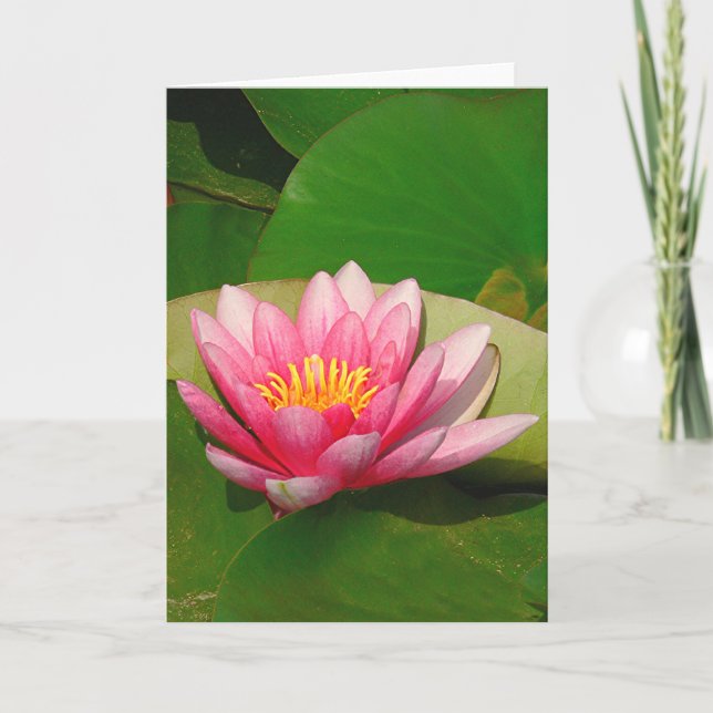 Greeting Card,"A PINK LOTUS FLOWER" Card (Front)