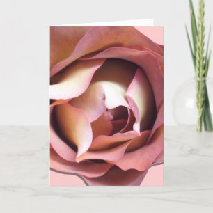 Greeting Card - All Occasion - Dusky Rose