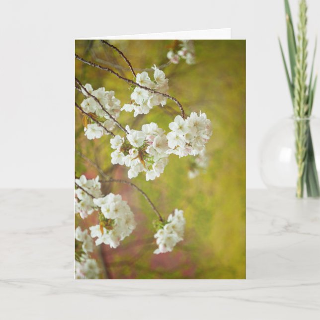 Greeting Card, Blank Inside Card (Front)