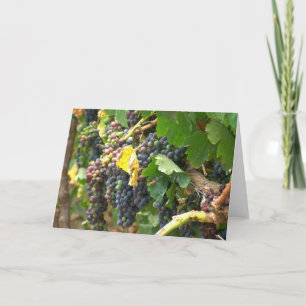 Greeting card, blank, with grapes card