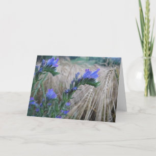 Greeting card blue cornflowers