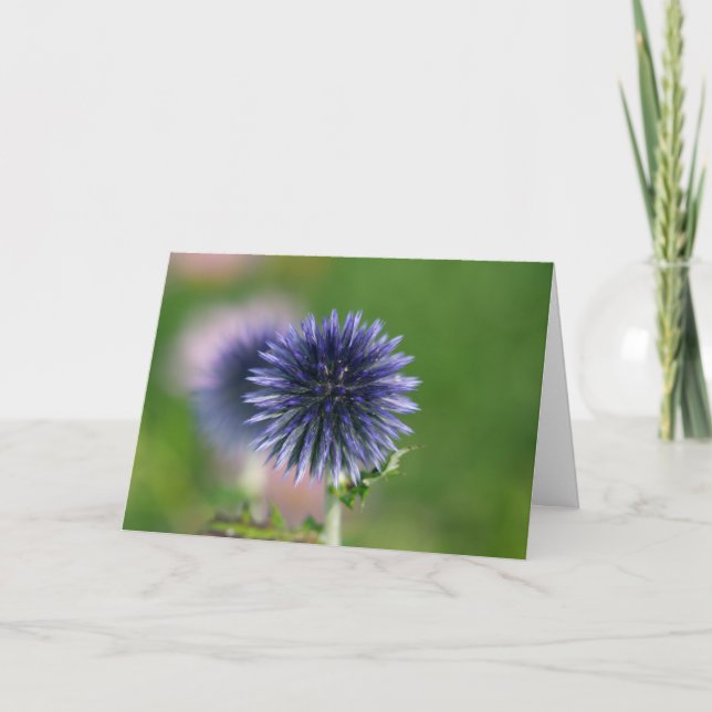 Greeting Card - Blue Globe Thistle (Front)