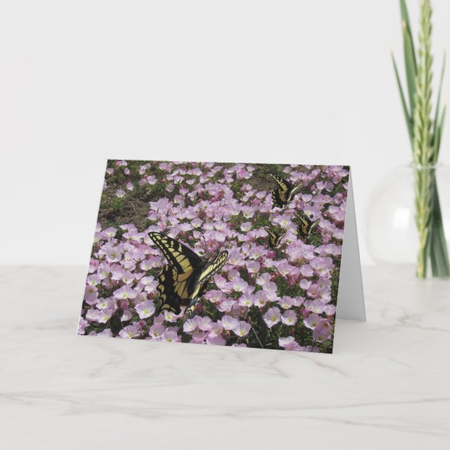 Greeting Card - Butterflies and Flowers (Front)