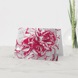 Greeting Card - Carnation in Red & White