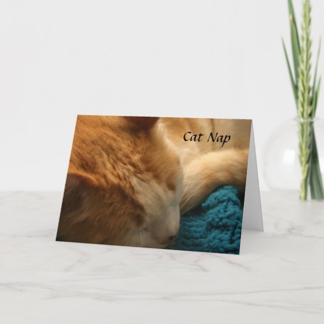 Greeting Card: Cat Nap Card (Front)