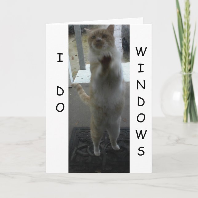 GREETING CARD: Cat Standing Against Window Card (Front)