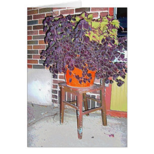 GREETING CARD: Chair  in Linden Hills_Card