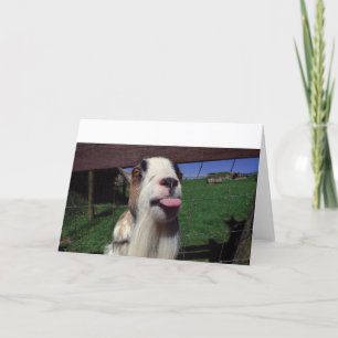 Greeting Card Cheeky Goat