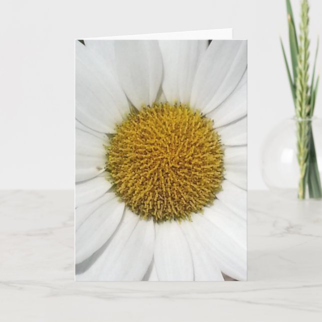 Greeting Card - Daisy (Front)