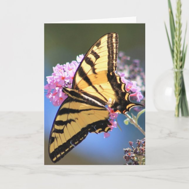 Greeting card featuring Yellow Butterfly (Front)