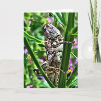 Greeting Card from the Lil' Monsters Collection