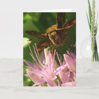 Greeting Card from the Nature Erotica Collection