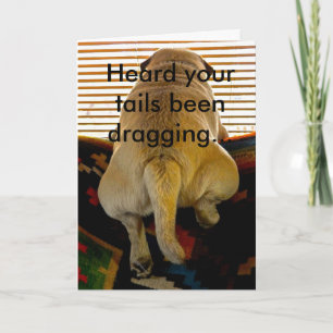 Greeting Card - Get Well - Puppytale