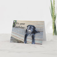 Greeting card: Happy birthday/Close your eyes