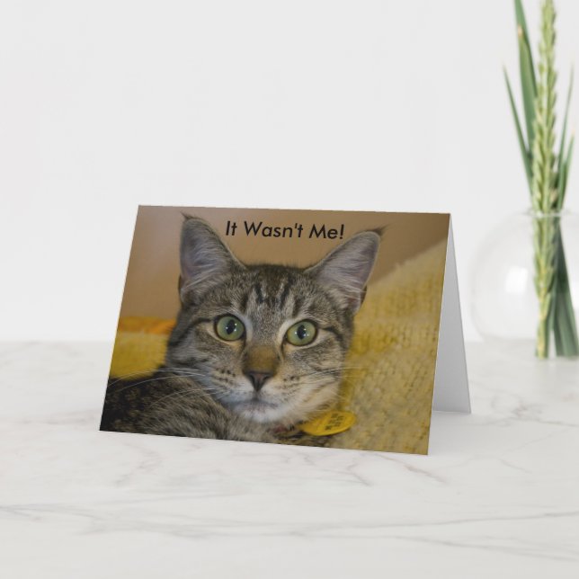 Greeting Card:  It Wasn't Me Cat Card (Front)