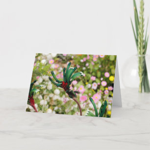 GREETING CARD - Kangaroo Paw