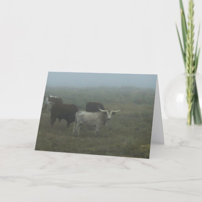 Greeting Card "Longhorns in the Fog" (blank inside (Front)
