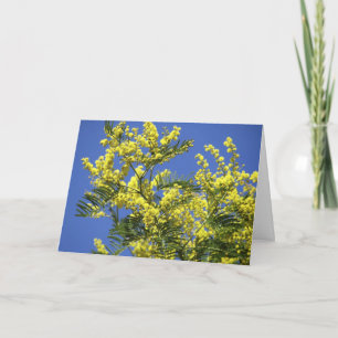 Greeting card : mimosa flowers