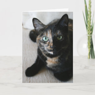 Greeting Card: Mocha Cat Card