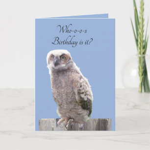 Greeting Card - Owl Birthday Wishes