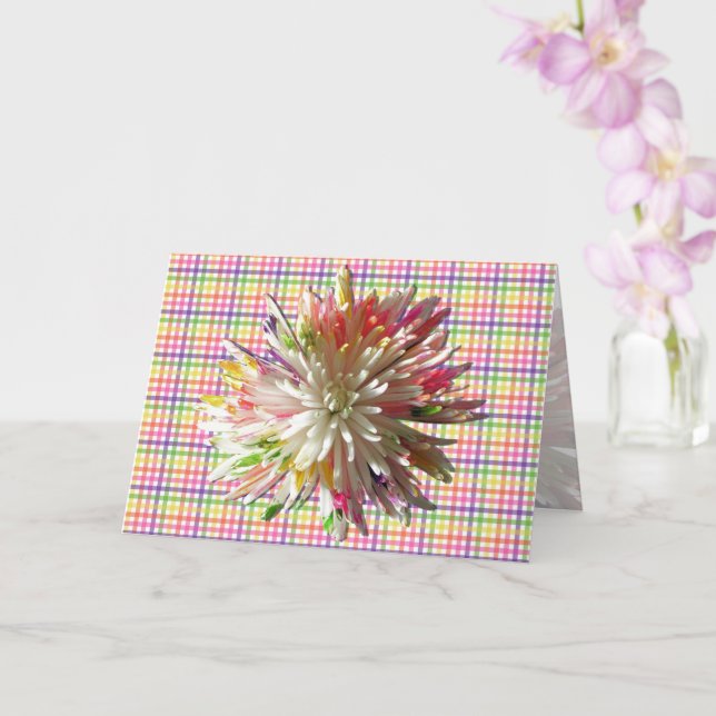 Greeting Card - Painted Spider Mum on Checks (Orchid)