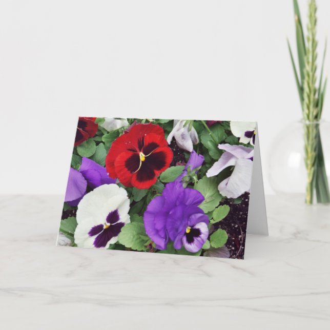 GREETING CARD: Pansies Card (Front)