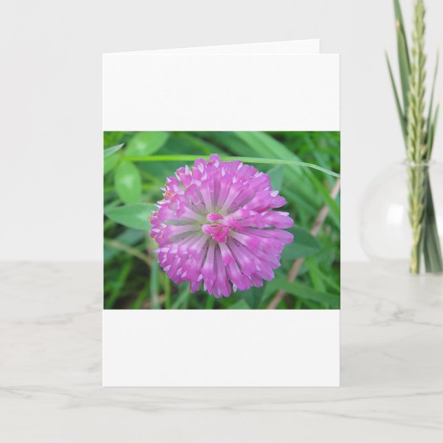 Greeting card pink cloverblossom (Front)