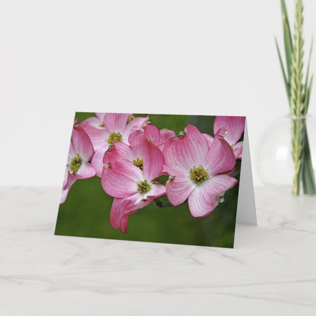 Greeting Card:  Pink Dogwood Card (Front)