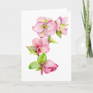 Greeting Card - Pink Hellebore Flower