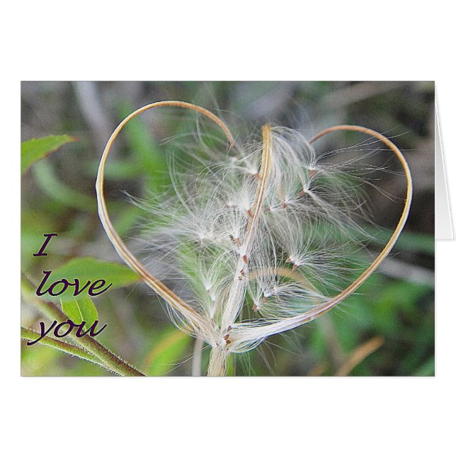 Greeting card plant heart: i love you (Front Horizontal)