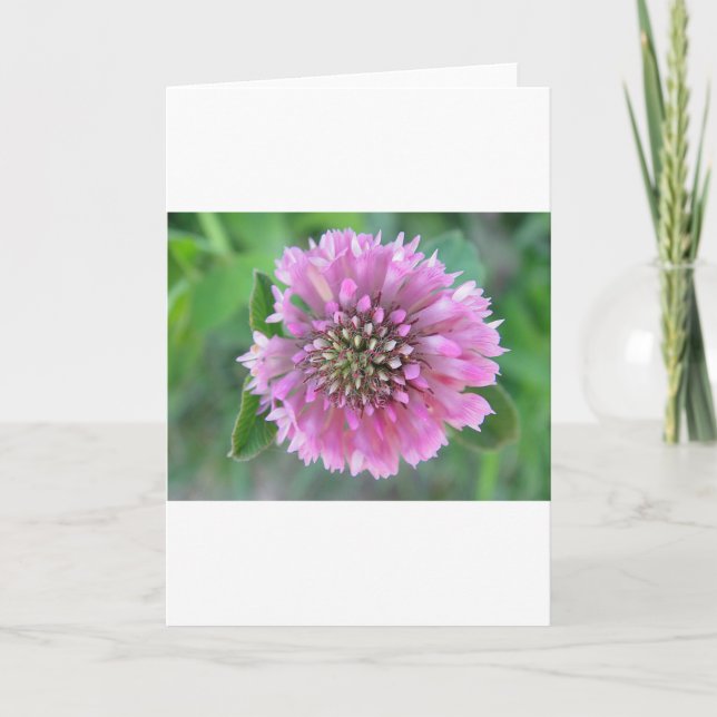 Greeting card pretty pink wildflower (Front)