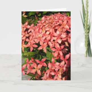 Greeting Card - Red Flowers (Blank)