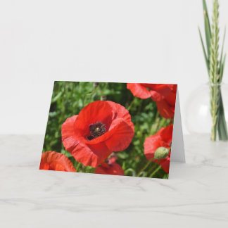 Greeting card - Red poppies