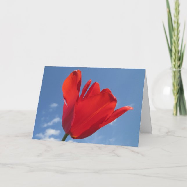 Greeting Card - Red Tulip Blue Sky (Front)