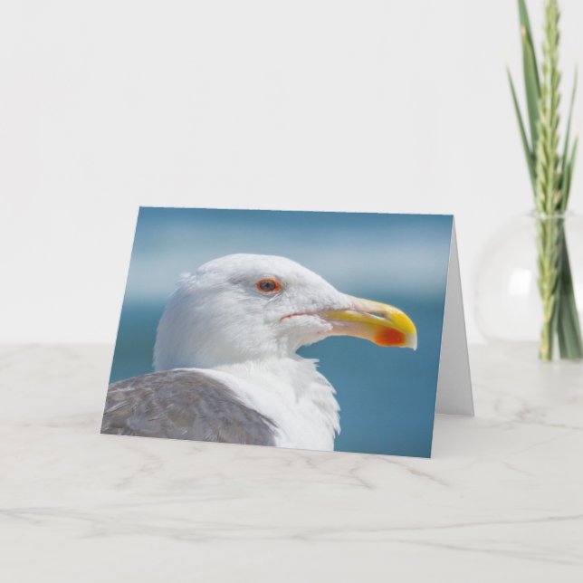 Greeting Card - Regal Seagull (Front)