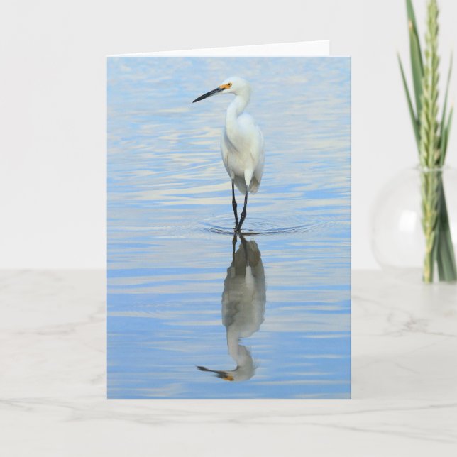 Greeting card - Snowy egret turning (Front)