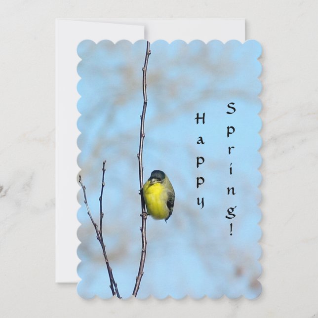 Greeting Card - Spring Finch (Front)