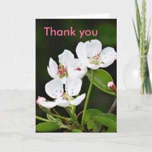Greeting card spring flowers